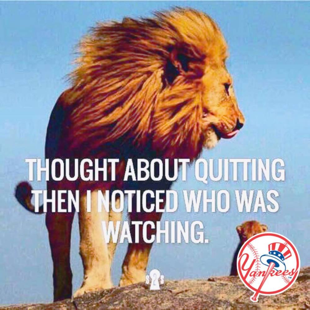 Meet your Posher, Melvin